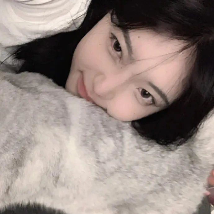 布朗蒂姊妹 海报